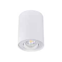 KANLUX - OPRAWA SUFITOWA PUNKTOWA N/T IP20 GU10 BIAŁY BORD DLP-50-W - 22551