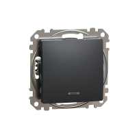 SCHNEIDER ELECTRIC - Sedna Design, Łącznik 1-biegunowy z sygnalizacją załączenia, czarny antracyt - SDD114101N