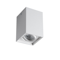 KANLUX - OPRAWA SUFITOWA PUNKTOWA N/T IP20 GU10 10W BIAŁA GORD XS DLP-50-W - 25477